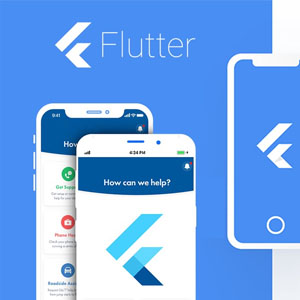 Cross Platform Mobile Application Development (Flutter)